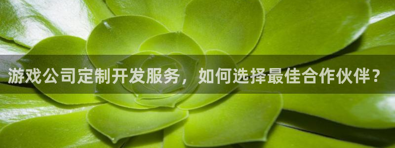 沐鸣娱乐怎么注册公司：游戏公司定制开发服