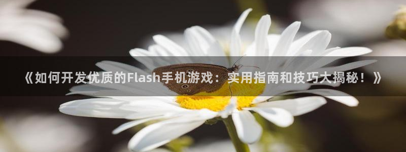 沐鸣平台官网：《如何开发优质的Flash