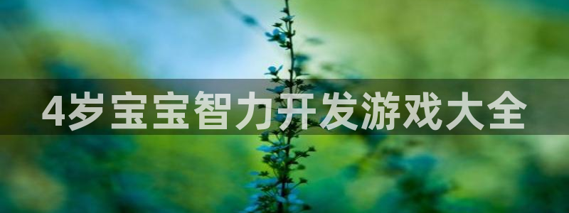 沐鸣总代~53866：4岁宝宝智力开发游