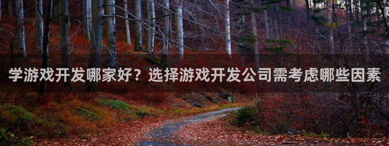 沐鸣平台：学游戏开发哪家好？选择游戏开发