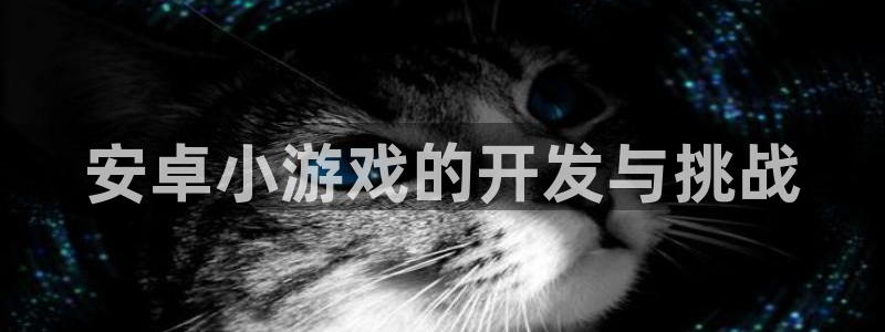 沐鸣3平台登录：安卓小游戏的开发与挑战