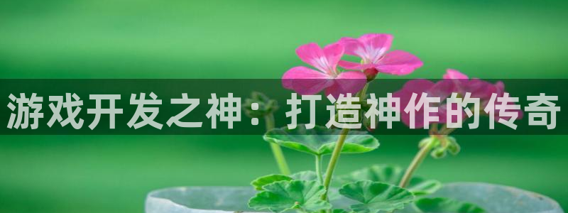 沐鸣1登录：游戏开发之神：打造神作的传奇