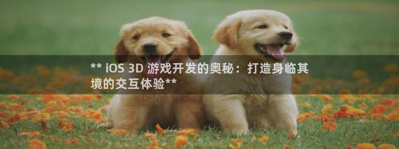 沐鸣平台注册资金多少：** iOS 3D