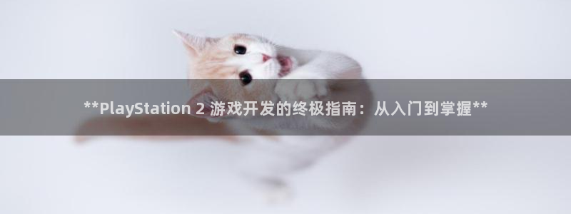 沐鸣科技游戏：**PlayStation