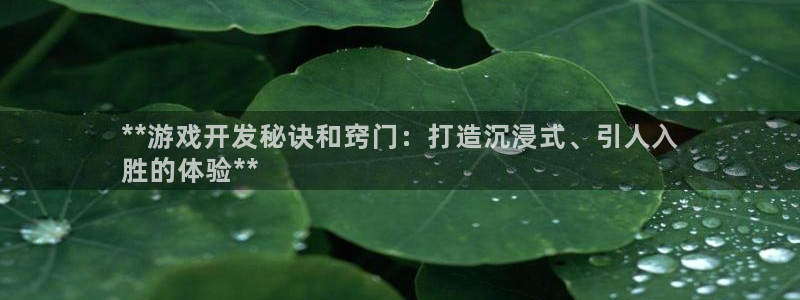 沐鸣科技和沐瞳科技：**游戏开发秘诀和窍