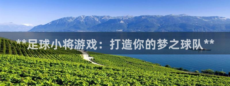沐鸣娱乐-官方网站：**足球小将游戏：打