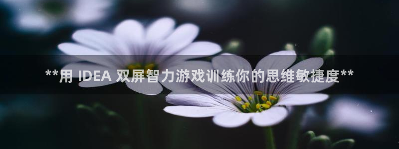 沐鸣线路测试：**用 IDEA 双屏智力