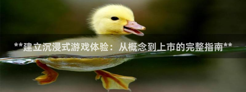 沐鸣娱乐官方平台：**建立沉浸式游戏体验