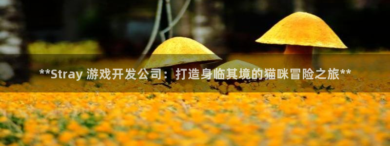 沐鸣官网登录：**Stray 游戏开发公