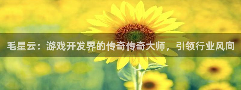沐鸣平台官网：毛星云：游戏开发界的传奇传