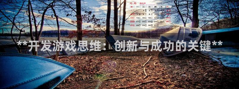 沐鸣网址注册：**开发游戏思维：创新与成