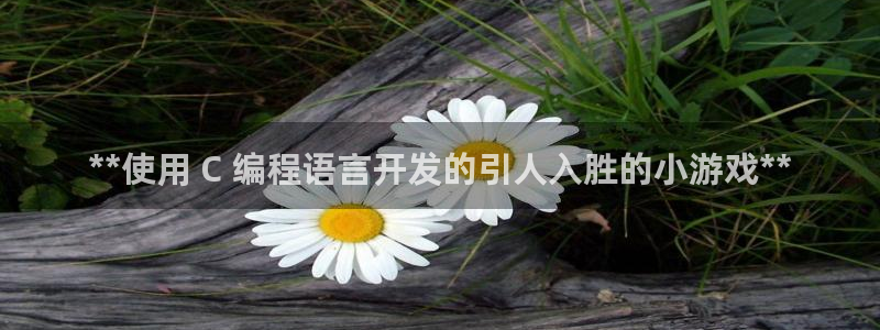 沐鸣开户测速：**使用 C 编程语言开发