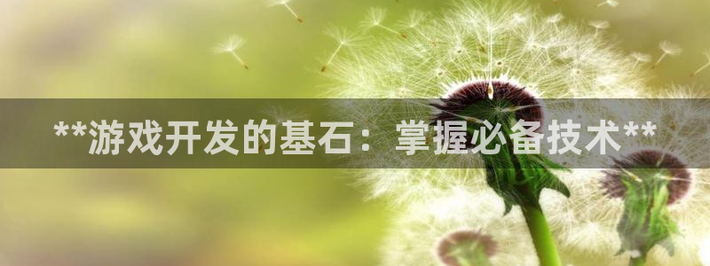 沐鸣娱乐怎么赚钱：**游戏开发的基石：掌