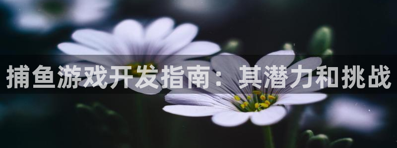沐鸣平台代理注册多少钱一年啊：捕鱼游戏开