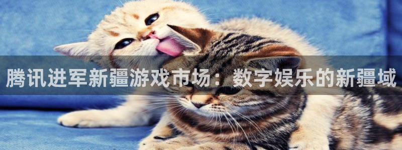 沐鸣娱乐平台登录入口官网：腾讯进军新疆游