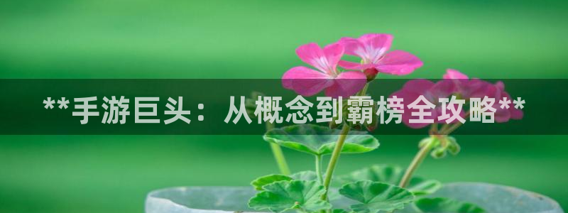沐鸣娱乐平台反点：**手游巨头：从概念到