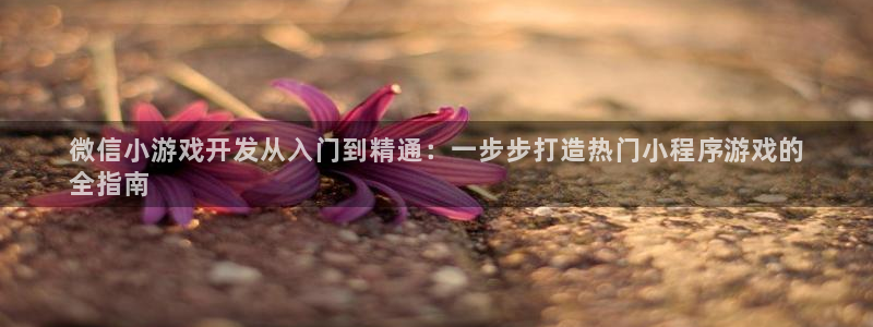 沐鸣娱乐平台大不大呀：微信小游戏开发从入
