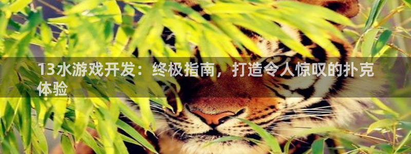 沐鸣1平台登录线路：13水游戏开发：终极