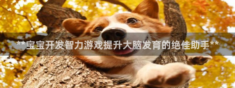 沐鸣娱乐官方网站首页：**宝宝开发智力游