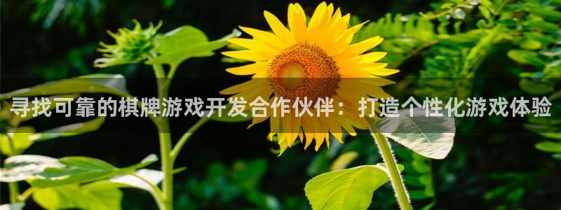 沐鸣娱乐平台怎么样可靠吗：寻找可靠的棋牌