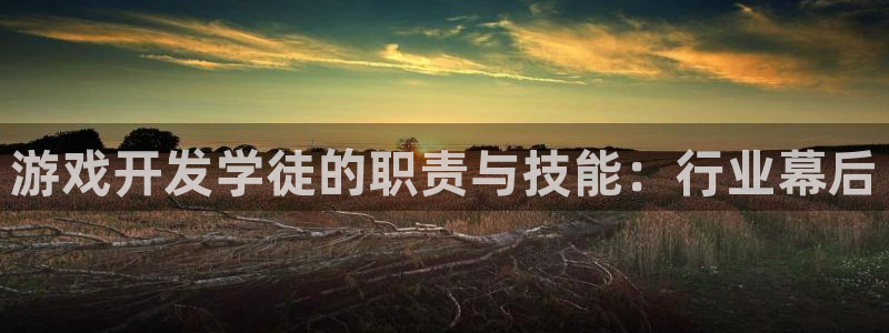 沐鸣娱乐官方网站入口下载：游戏开发学徒的