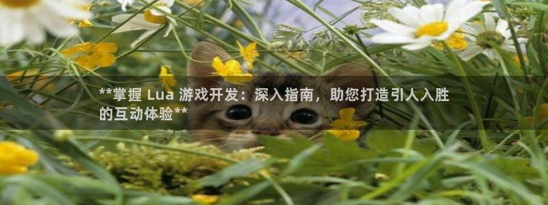 沐鸣在线登录：**掌握 Lua 游戏开发