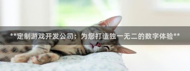 沐鸣4开户：**定制游戏开发公司：为您打