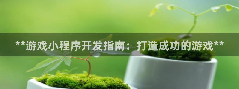 沐鸣娱乐注册登录平台：**游戏小程序开发