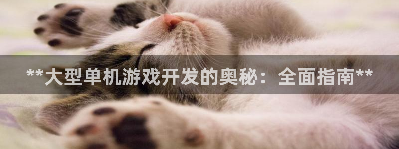 沐鸣科技业务怎么样：**大型单机游戏开发