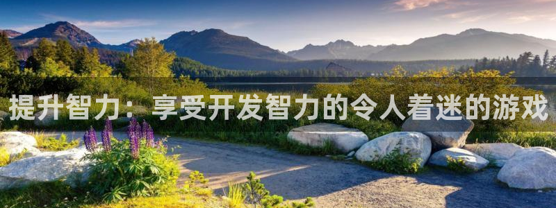 沐鸣娱乐靠谱吗：提升智力：享受开发智力的