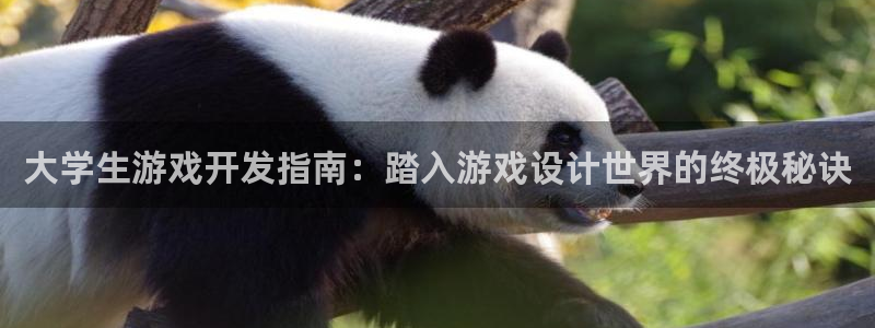 沐鸣娱乐招商：大学生游戏开发指南：踏入游