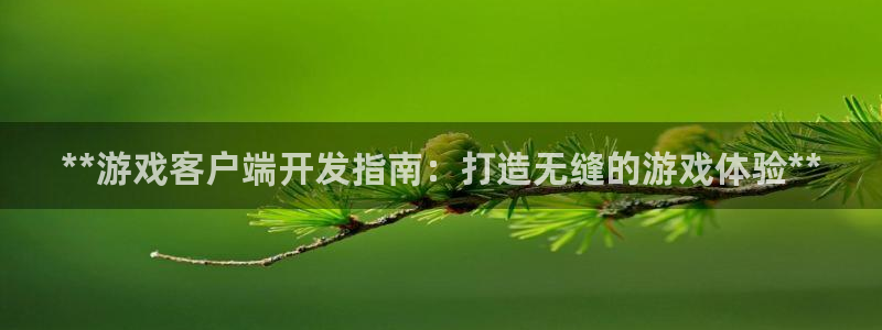 沐鸣注册网站是什么：**游戏客户端开发指