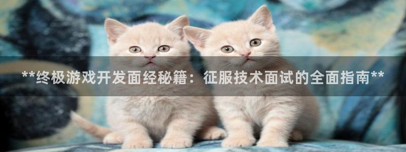 沐鸣娱乐注册平台是什么：**终极游戏开发