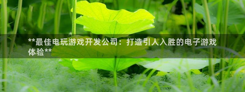 沐鸣3平台注册：**最佳电玩游戏开发公司