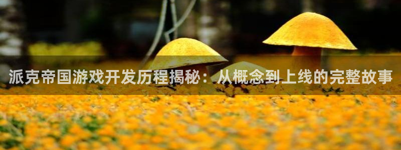 沐鸣科技做的游戏：派克帝国游戏开发历程揭
