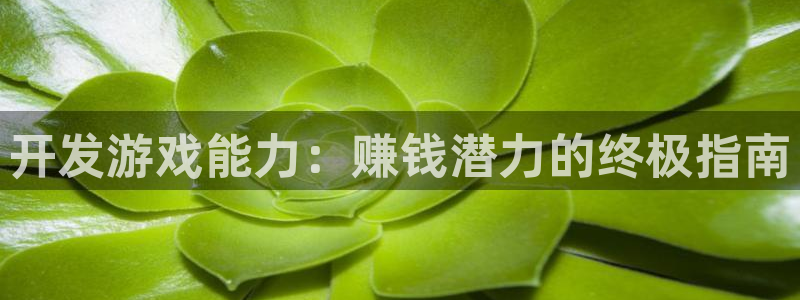 沐鸣科技业务怎么样：开发游戏能力：赚钱潜