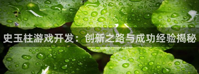 沐鸣1平台注册：史玉柱游戏开发：创新之路