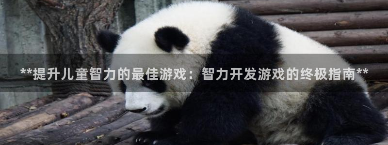 沐鸣官网注册：**提升儿童智力的最佳游戏