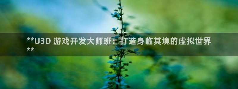 沐鸣娱乐代理是谁：**U3D 游戏开发大
