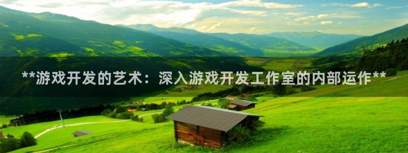 沐鸣平台招商怎么样：**游戏开发的艺术：