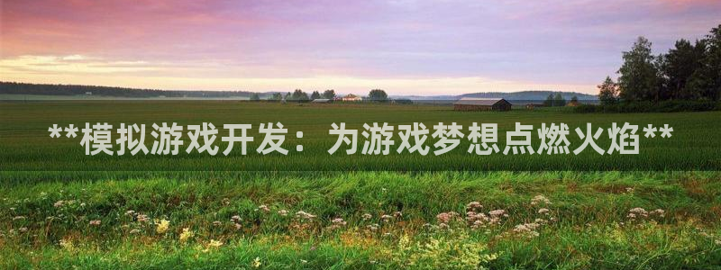 沐鸣科技有限公司：**模拟游戏开发：为游