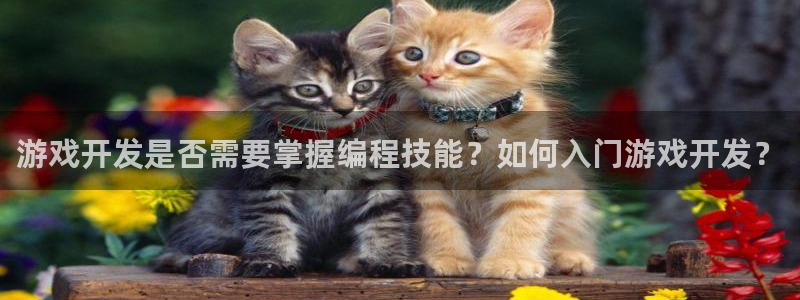 沐鸣网址注册：游戏开发是否需要掌握编程技