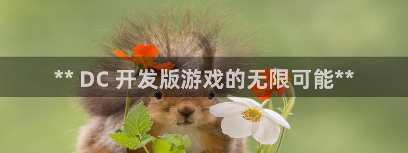 手机版沐鸣客户端下载：** DC 开发版