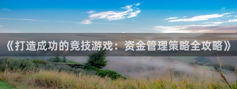 沐鸣代理注册：《打造成功的竞技游戏：资金