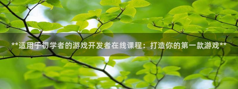 沐鸣4主管：**适用于初学者的游戏开发者