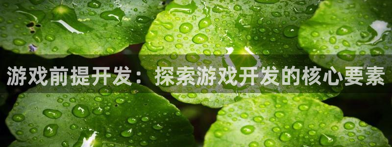 沐鸣科技游戏：游戏前提开发：探索游戏开发