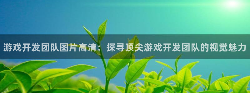 沐鸣怎么注册：游戏开发团队图片高清：探寻