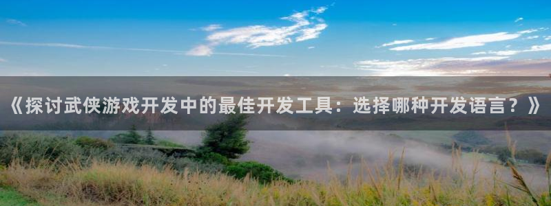 沐鸣娱乐官方网站入口下载：《探讨武侠游戏