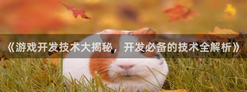 沐鸣娱乐二：《游戏开发技术大揭秘，开发必