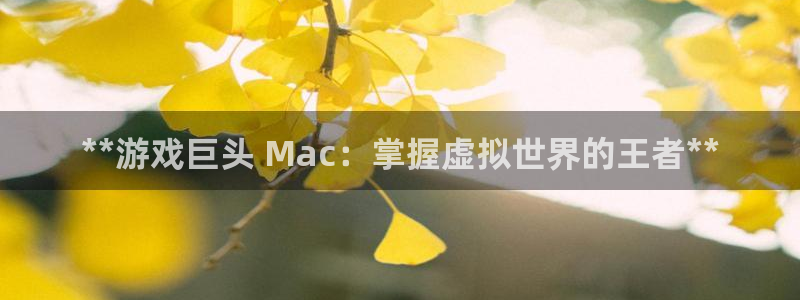 沐鸣平台登陆：**游戏巨头 Mac：掌握